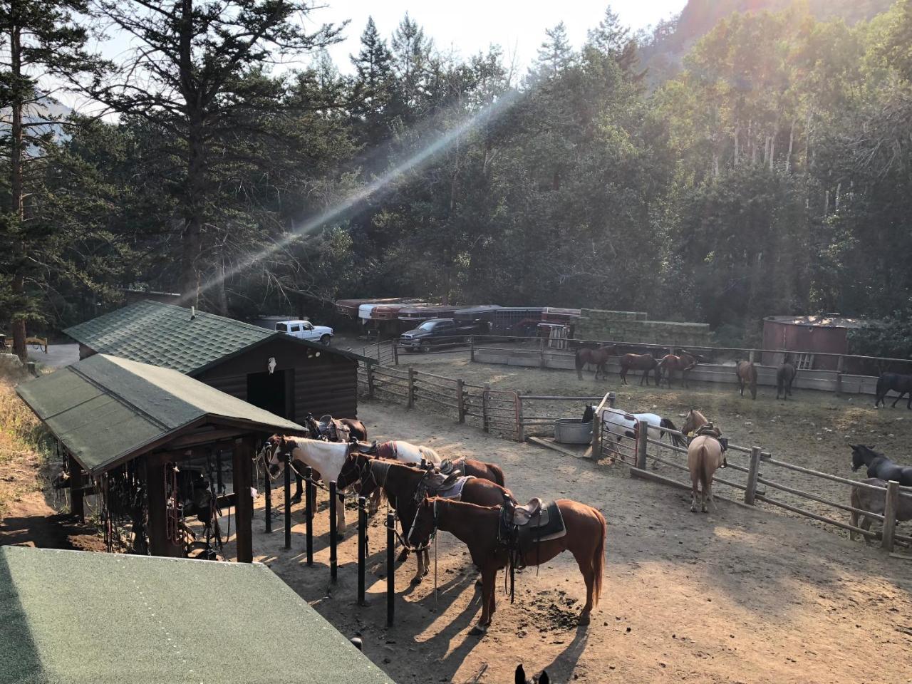 Отель Bill Cody Ranch Экстерьер фото