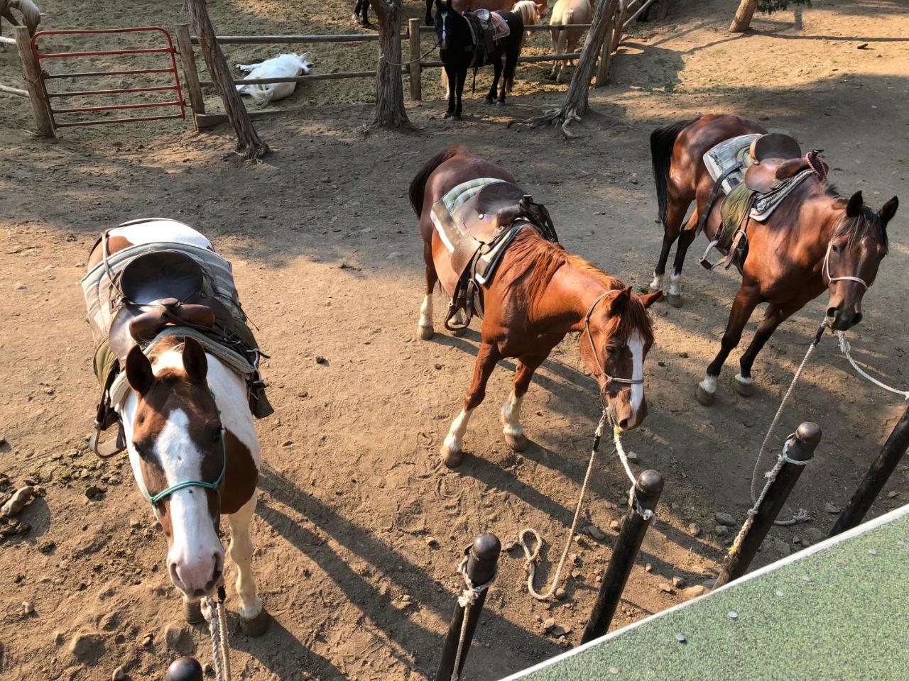 Отель Bill Cody Ranch Экстерьер фото