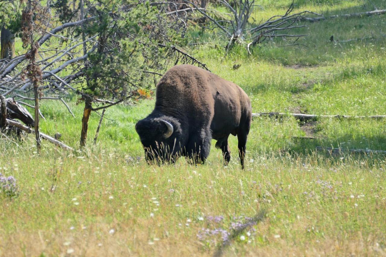 Отель Bill Cody Ranch Экстерьер фото