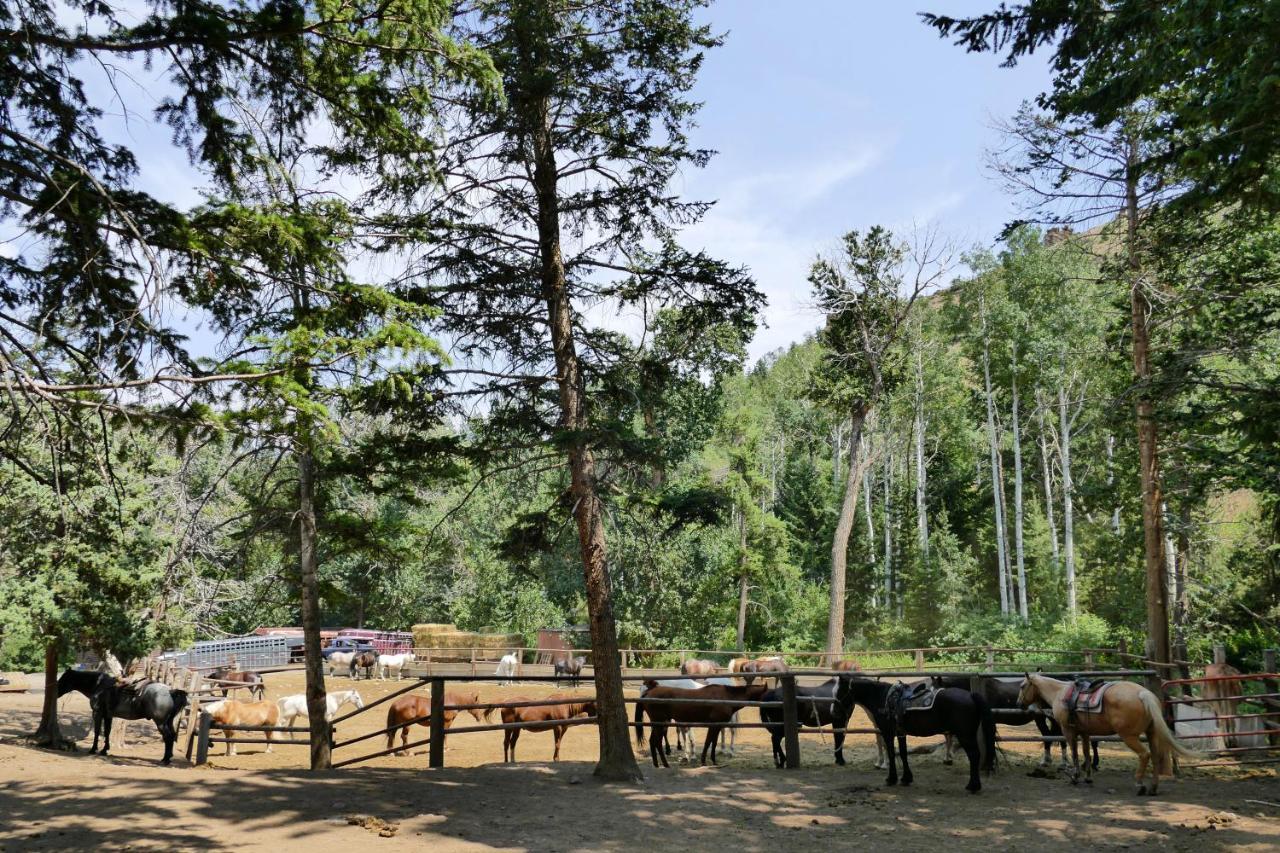 Отель Bill Cody Ranch Экстерьер фото