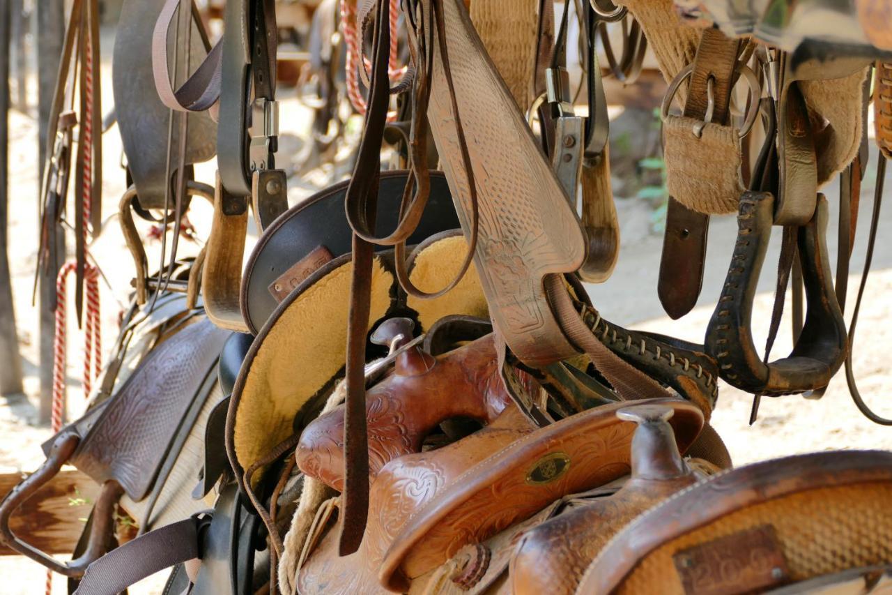 Отель Bill Cody Ranch Экстерьер фото